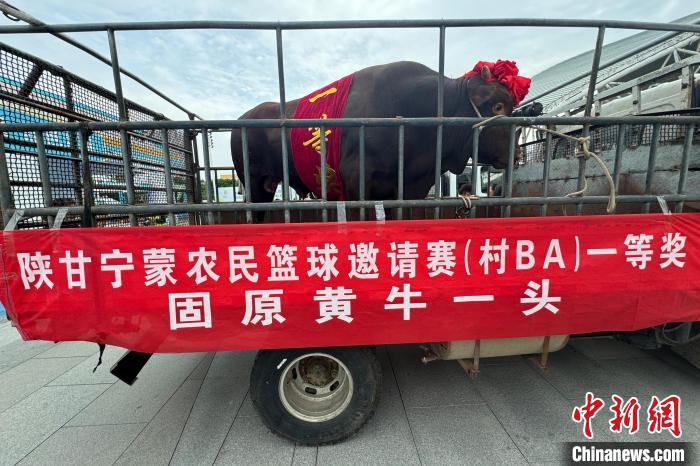 吴忠古城队勇夺陕甘宁蒙农民篮球赛冠军 固原黄
