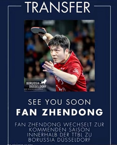 樊振东下赛季加盟杜塞尔多夫 与波尔并肩作战开