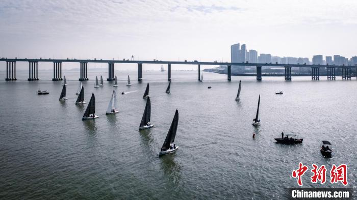 粤港澳大湾区帆船赛南沙收官 多支队伍角逐冠军