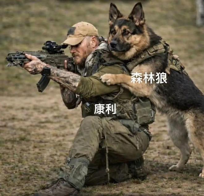 森林狼客场力克马刺文班亚马12次封盖创季后赛纪